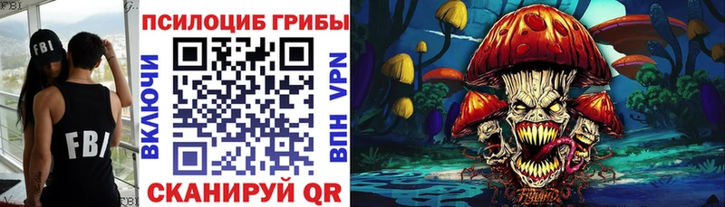 даркнет сайт  Кизел  гидра рабочий сайт  Галлюциногенные грибы Magic Shrooms 